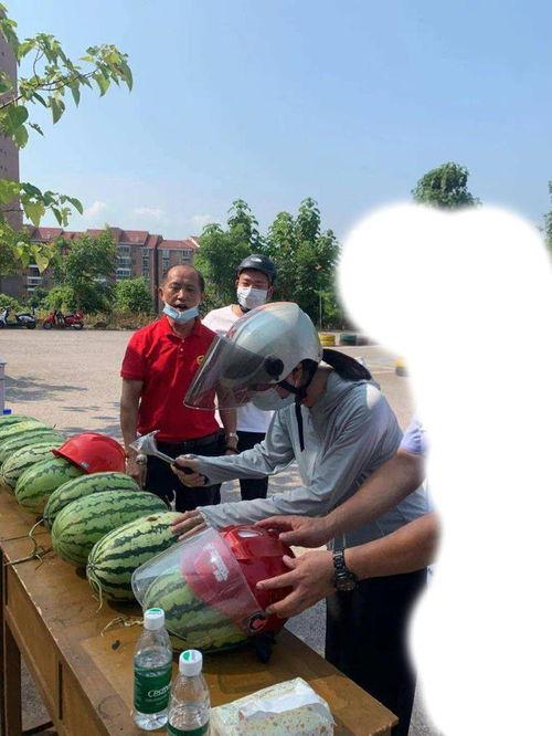 肥乡吃瓜事件视频,一场引发热议的网络狂欢