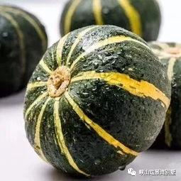 拜登吃瓜视频大全,趣味视频大盘点