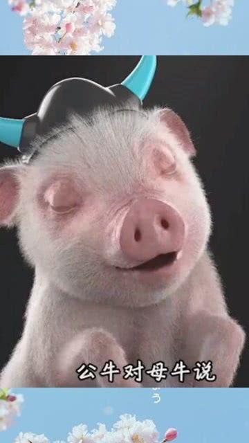 搞笑视频笑得肚子疼吃瓜,肚子疼也要笑出腹肌！