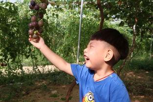 吃瓜宝妈视频,揭秘育儿圈那些事儿