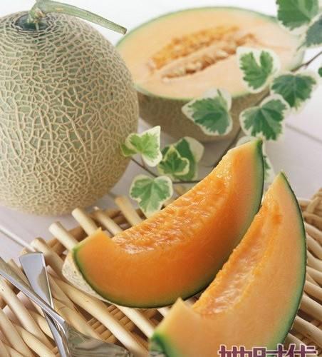 鹅吃哈密瓜视频大全下载,趣味视频大全下载攻略