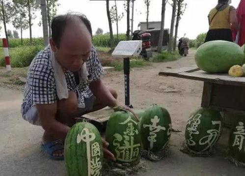 胖叔吃山瓜的视频大全,视频大全里的美味探索之旅