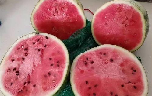 麒麟瓜是剥皮吃的吗视频,轻松解锁美味新体验