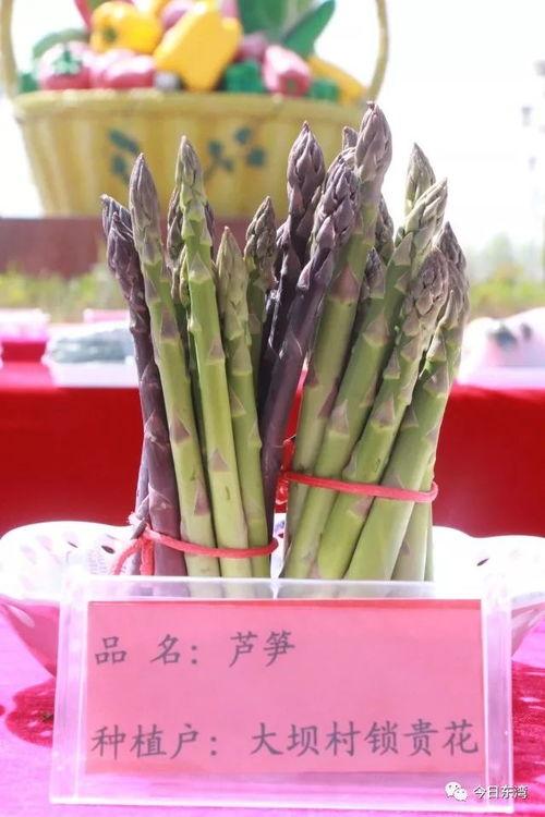 五一假期群众吃瓜视频,全民“瓜田”狂欢时刻