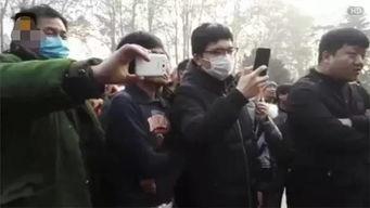 郑州大妈吃瓜视频大全集,趣味横生的社区生活剪影