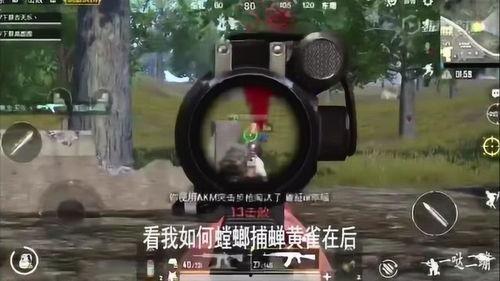 我是小呆瓜吃鸡直播视频